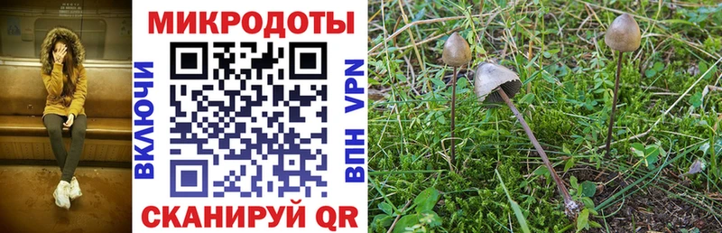 Псилоцибиновые грибы Cubensis  наркошоп  Серафимович 